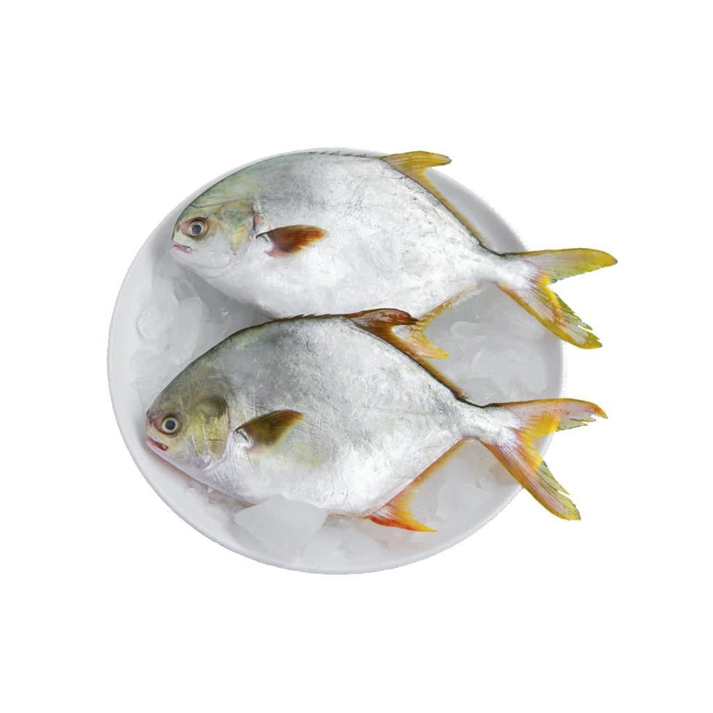 Frozen Golden Pomfret 400-600gm Whole Round 1kg (Only for Blanch, Lucan, Meath, Maynooth & Kilcock)