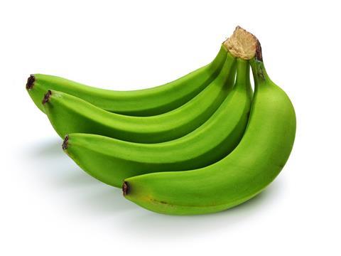 Plantain Green 4 pcs