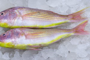 Frozen Japanese Thread Fin ( Kilimeen) Daily Delight 700g ( Only Click & Collect)