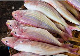 Frozen Japanese Threadfin Whole(Kilimeen) Seafood Delight 700g (Only for Blanch, Lucan, Meath, Maynooth & Kilcock)