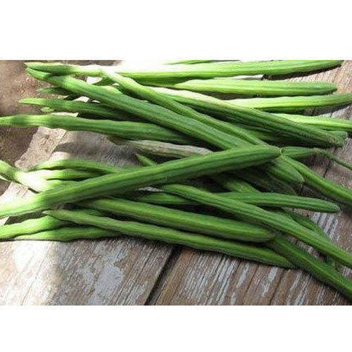 Drumstick fresh (Muringa)