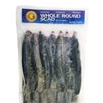 Frozen Whole Round Scad Fish Galuggong Asean Seas 1kg (Only Click & Collect)