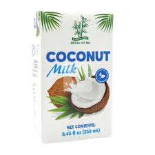 Coconut Milk 17-19% UHT Tetra Bamboo Tree 250ml