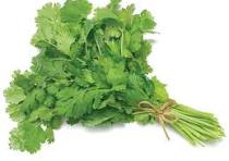 Coriander Leaves GF 35gm (Only Click & Collect)
