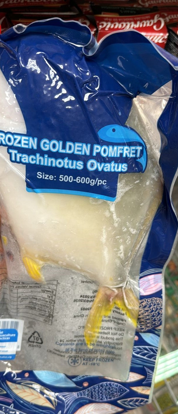 Frozen Golden Pomfret 500-600gm Trachinotus Ovatus (Only for Blanch, Lucan, Meath, Maynooth & Kilcock)