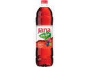 Ice Tea Forest Fruit Jana 1.5L