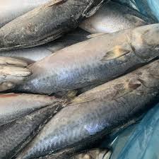 Frozen Mackerel Whole 300-500gm  1kg (Only for Blanch, Lucan, Meath, Maynooth & Kilcock)