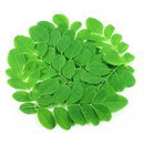 Drumstick (Muringa) Leaves 250gm