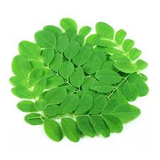 Drum Stick (Muringa) Leaves Prepack 100gm