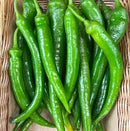 Turkish Long Green Chilli 400gm