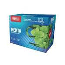 Mint Tea Vispak 30gm