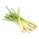 Lemon Grass Fresh