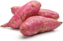 Sweet Potato Red