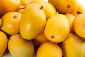 Alphonso Mango Ripe 6Pcs