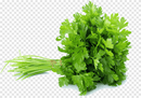 Coriander Leaves Fresh ( ONLY FOR DUBLIN & MEATH)