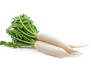 Radish (Mooli)