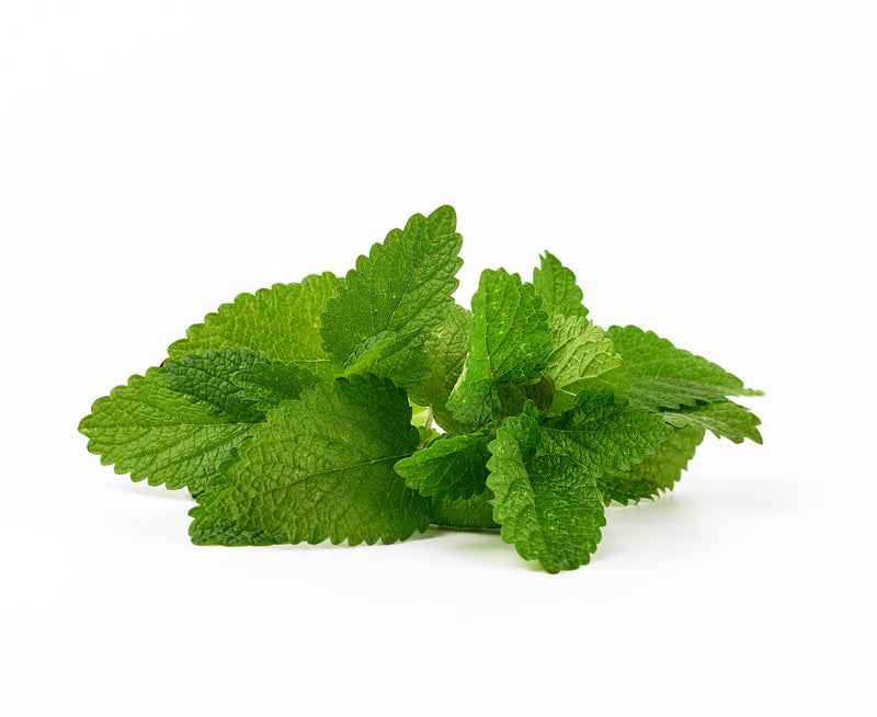 Mint Leaves 1 Bunch ( ONLY FOR DUBLIN & MEATH)